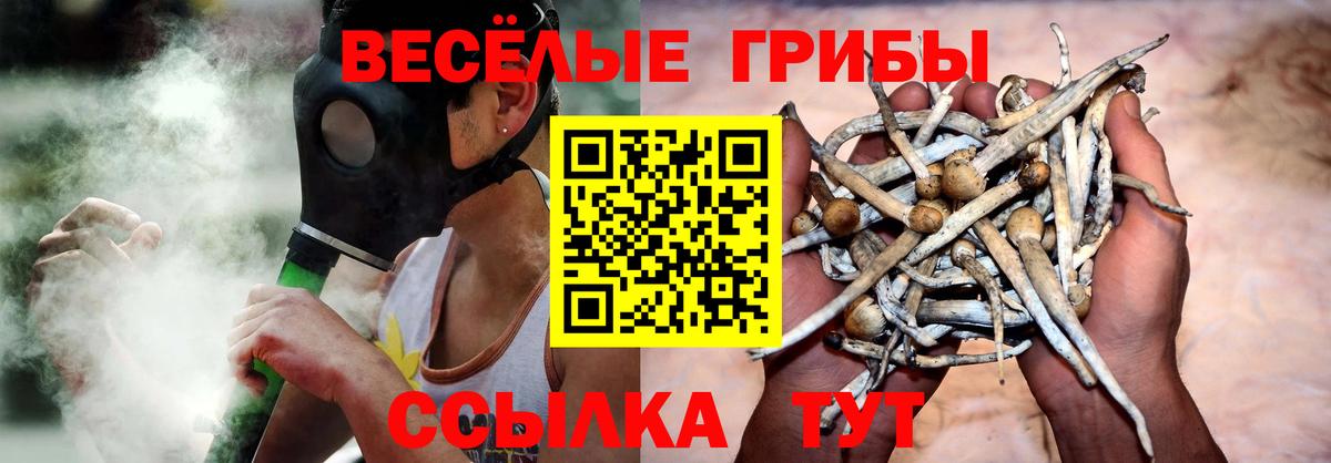 Галлюциногенные грибы ЛСД  Вход с VPN  наркотики  Галлюциногенные грибы Psilocybe  Чусовой 